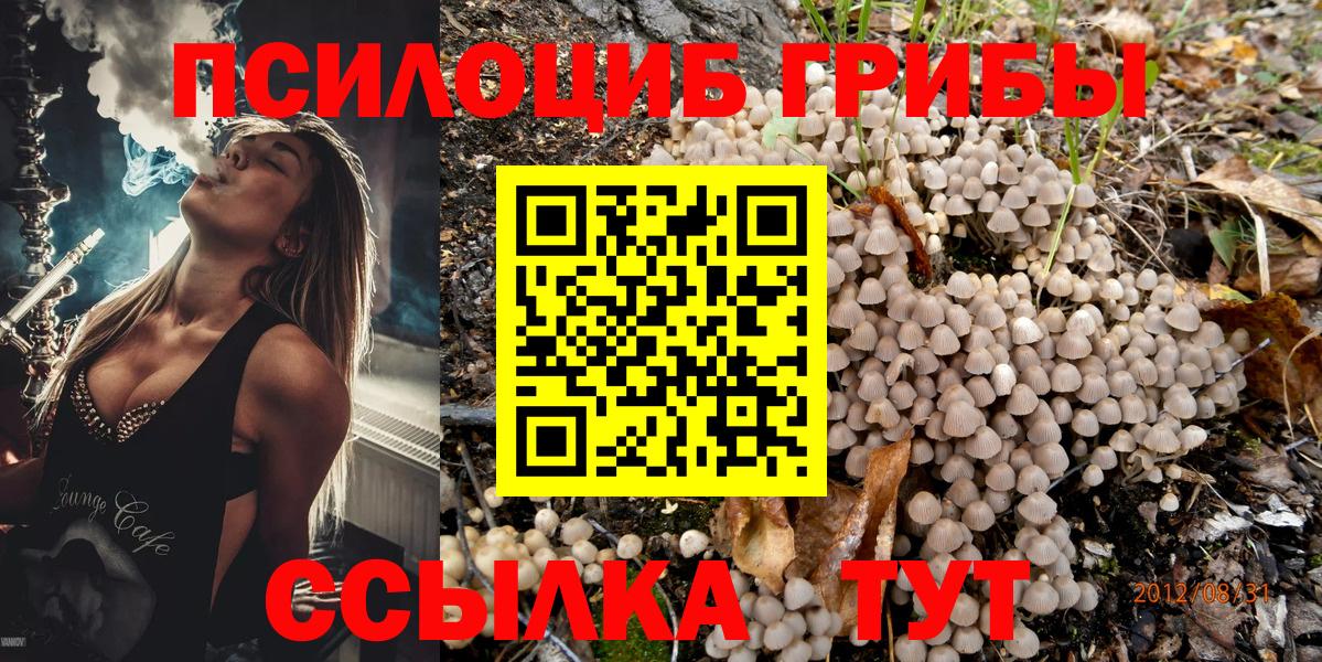 Владикавказ  Псилоцибиновые грибы Psilocybine cubensis  Вход с VPN 